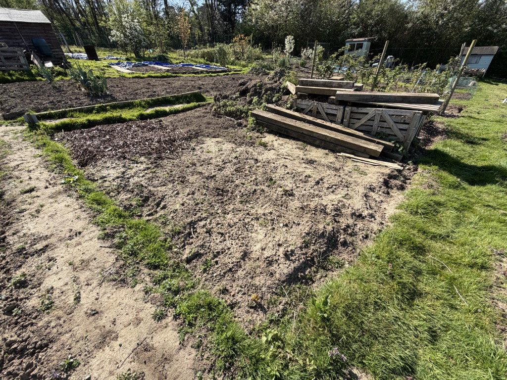 6B_Asparagus (1)