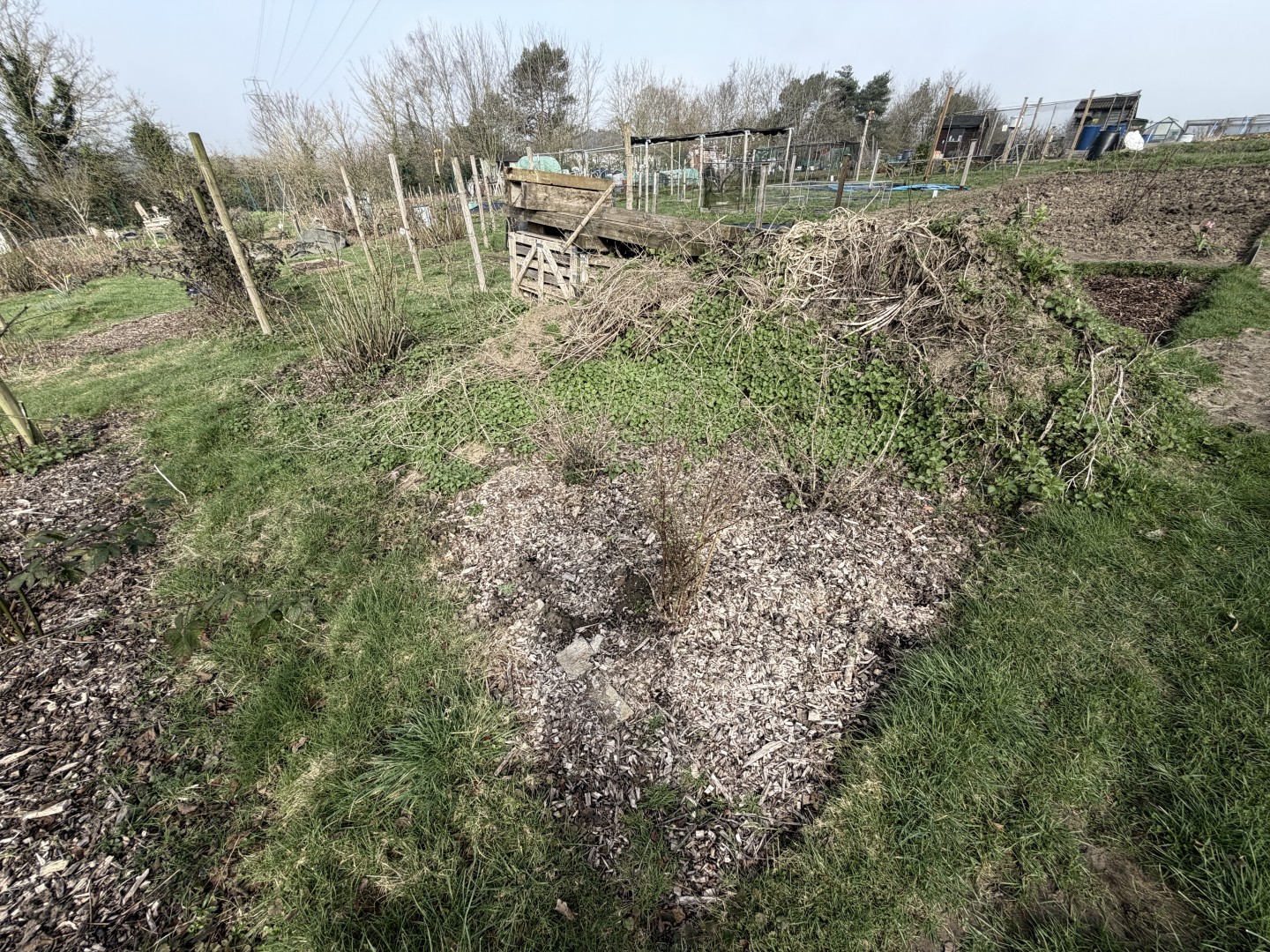 6B_Fruit_Area (1)